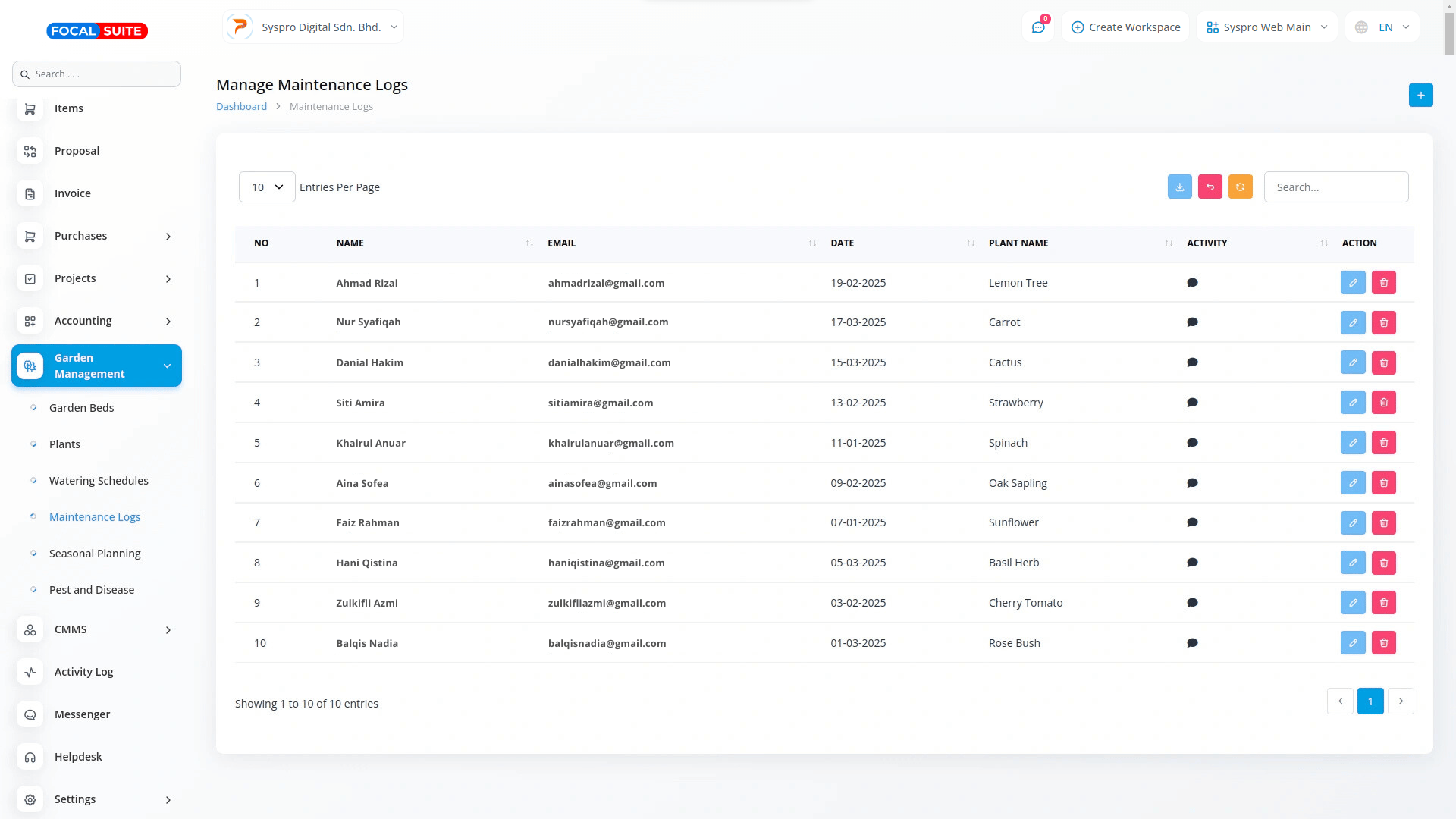 Organic Vegetable Box